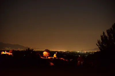 DSC_0744 (Large).JPG